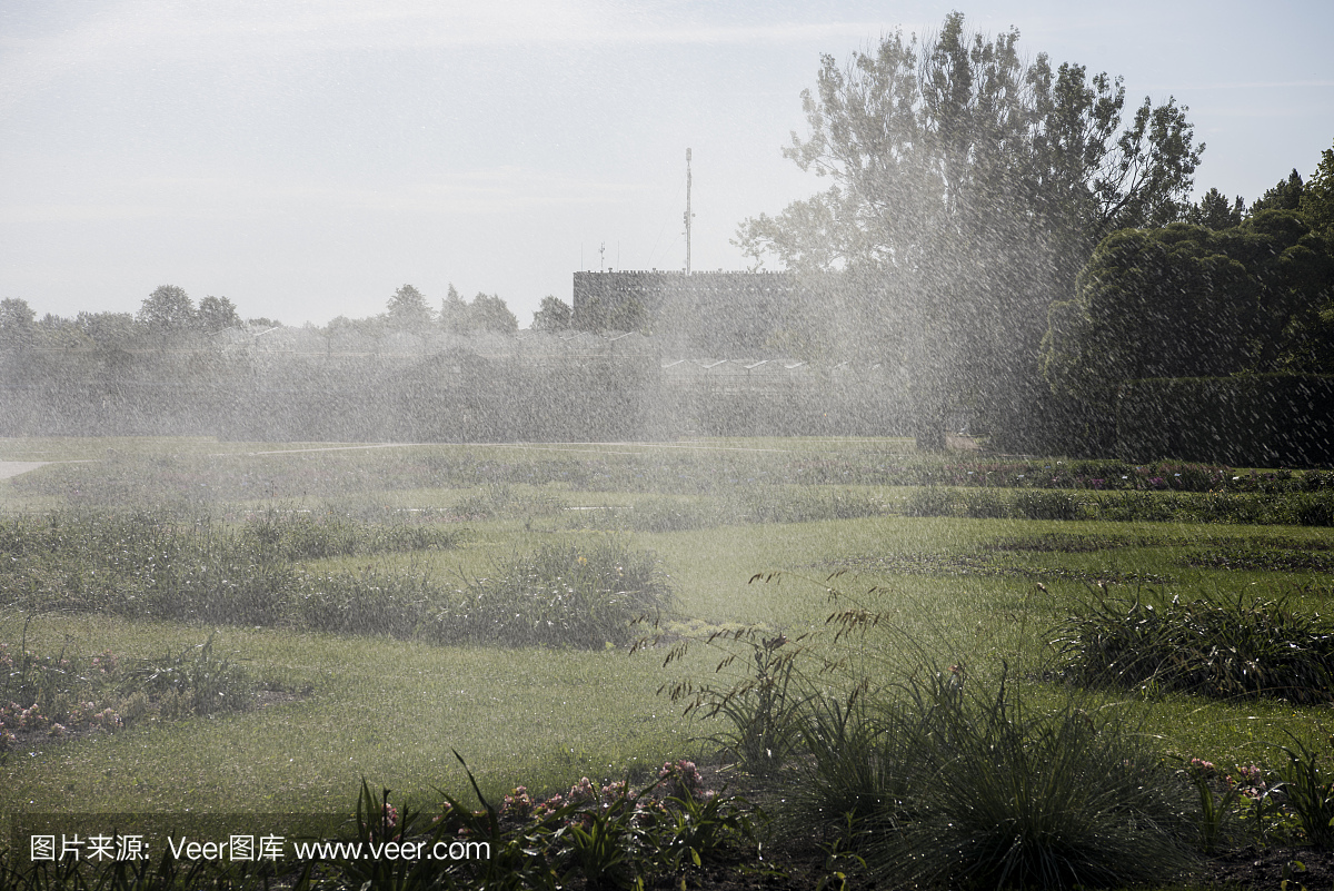 花园自动灌溉系统浇灌草坪。