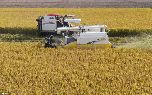 农业智能化再提速 5G 无人农场 实现无人机械收割和耕地